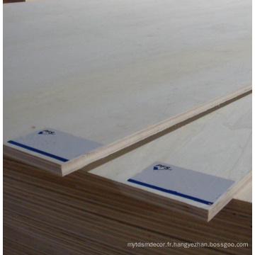 15 mm 18 mm blanc EV Eucalyptus Core Plywood